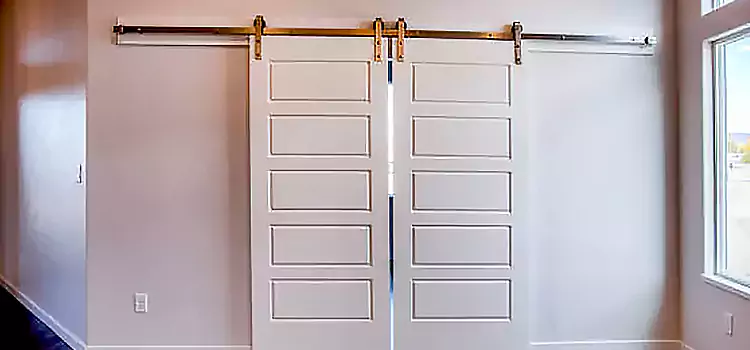 Glass Barn Door with Installation Hardware Kit Corinth
